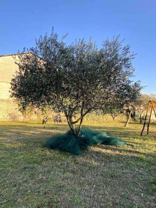 Le Nomade En Provence Bed & Breakfast Bouchet  Exterior photo