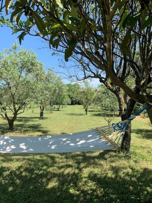 Le Nomade En Provence Bed & Breakfast Bouchet  Exterior photo